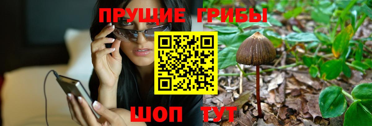Псилоцибиновые грибы прущие грибы  Вход с VPN  Североморск 