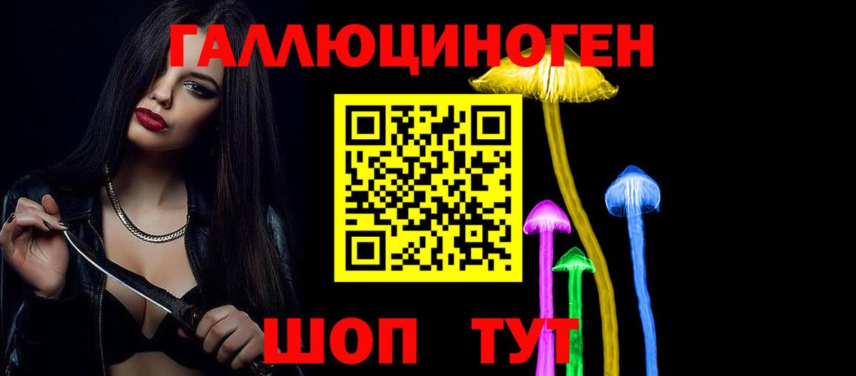 Псилоцибиновые грибы Psilocybine cubensis Североморск